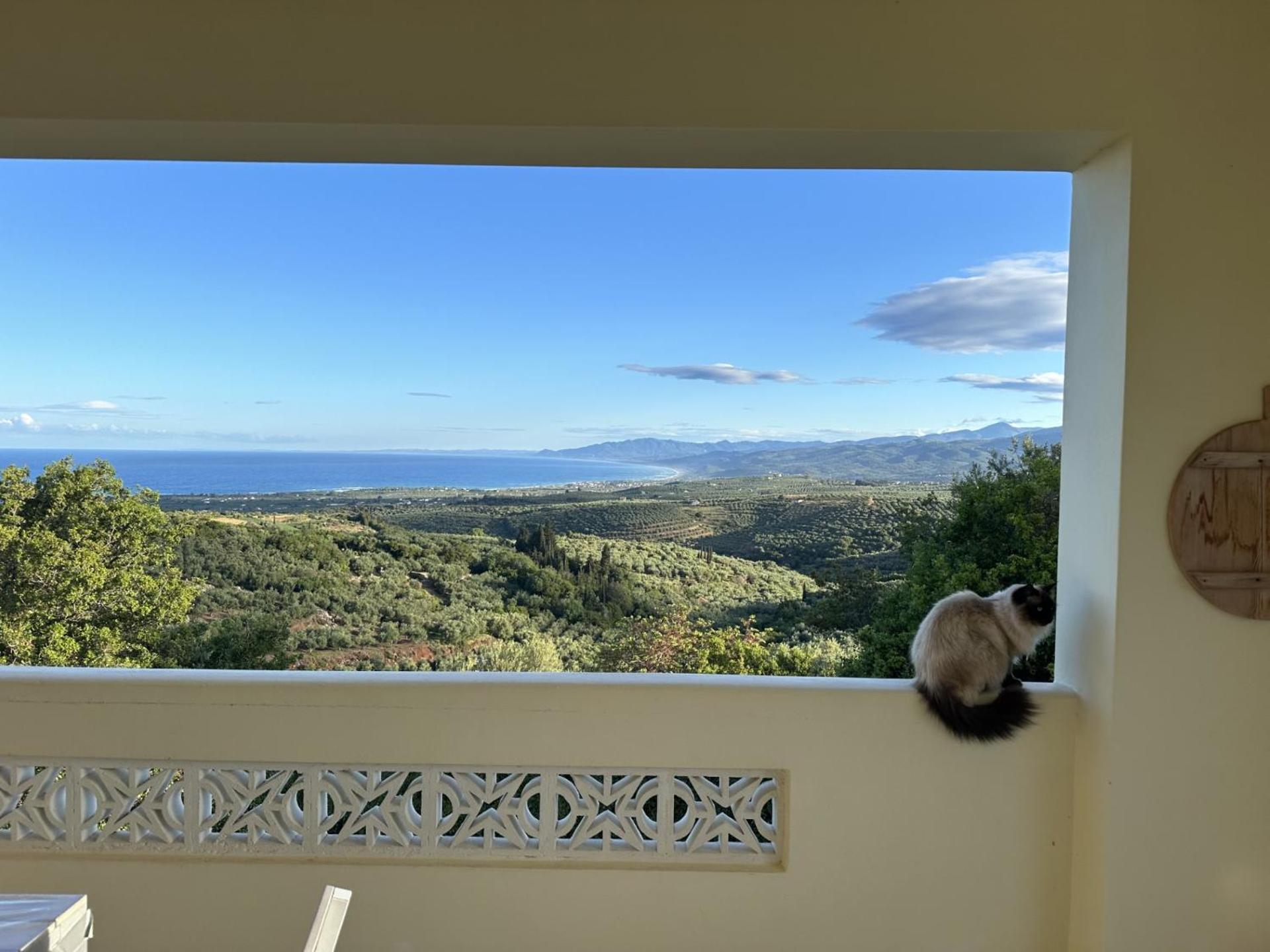 Kyparissia De Wandelboom Villa Vrises  Bagian luar foto