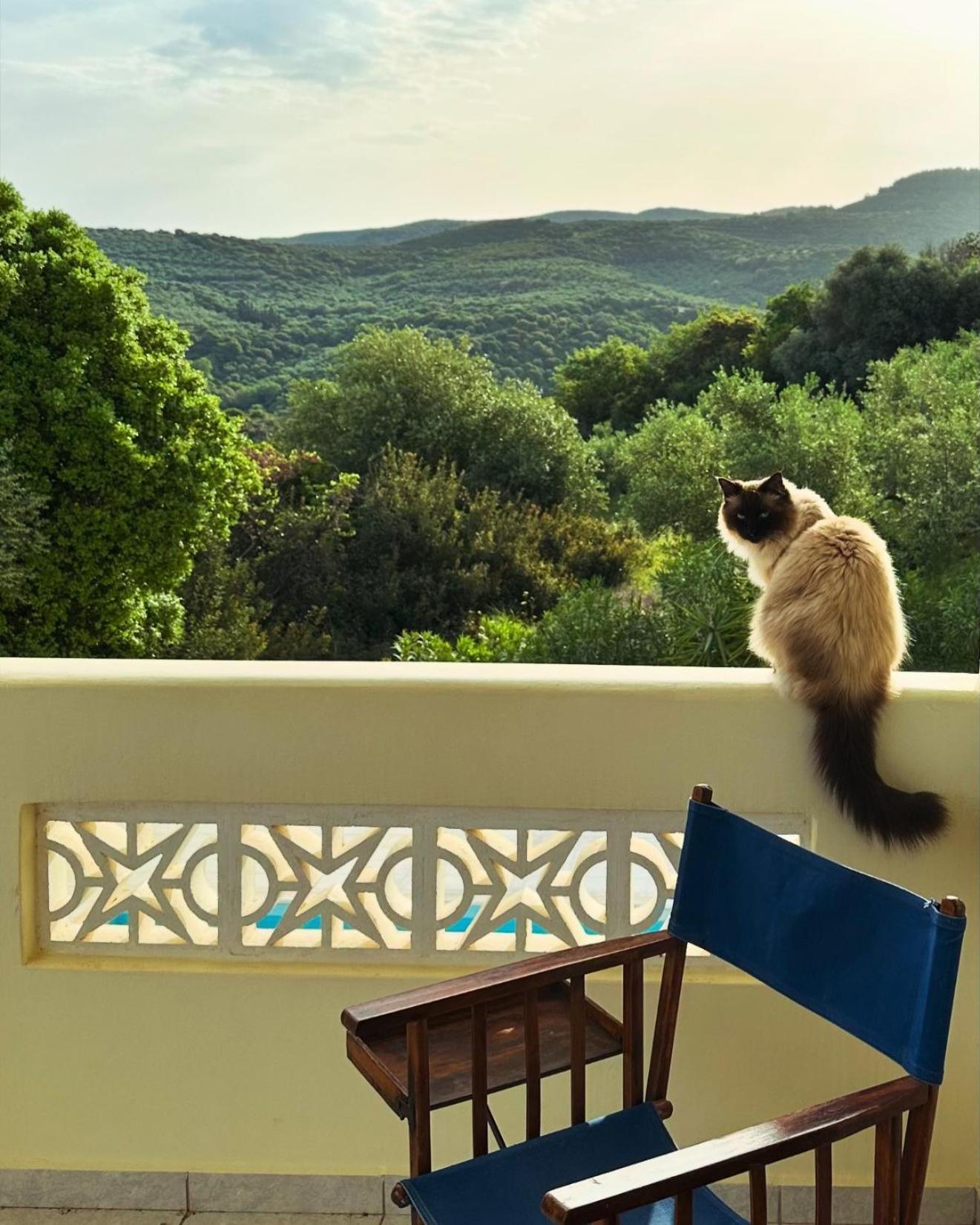 Kyparissia De Wandelboom Villa Vrises  Bagian luar foto